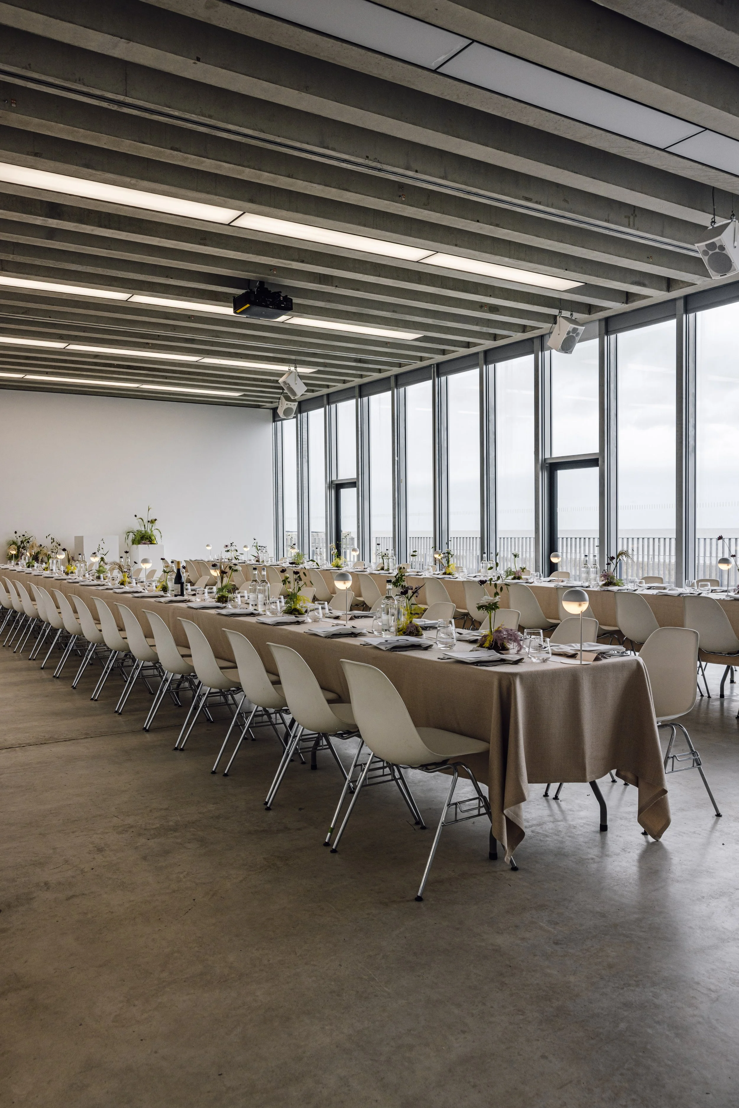 TURNER BRIGET RILEY OPENING-IMG_2204.jpg