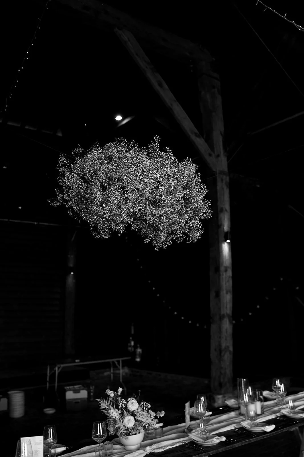 DSC09782.jpg