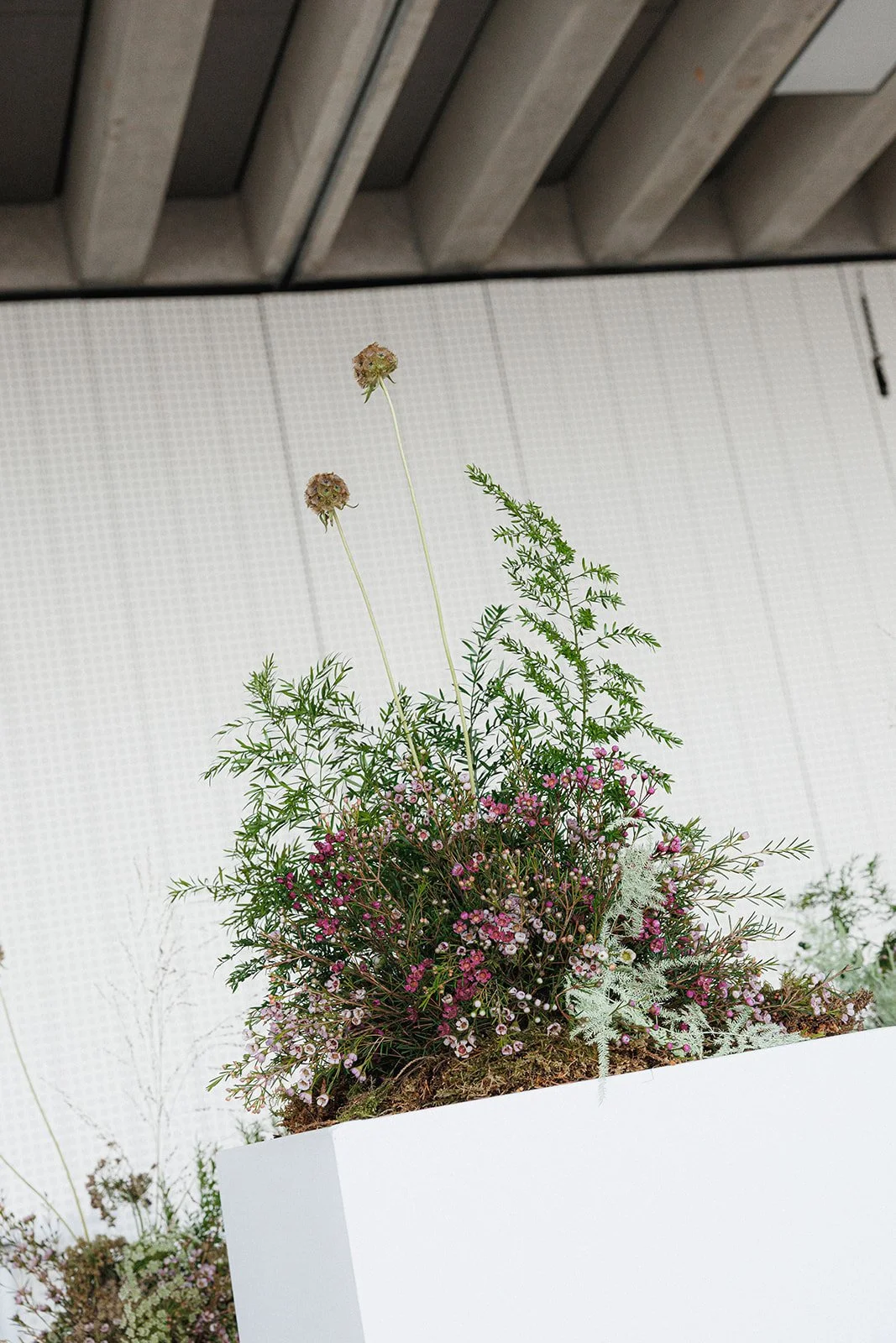 3 Turner Press Event-27.jpg