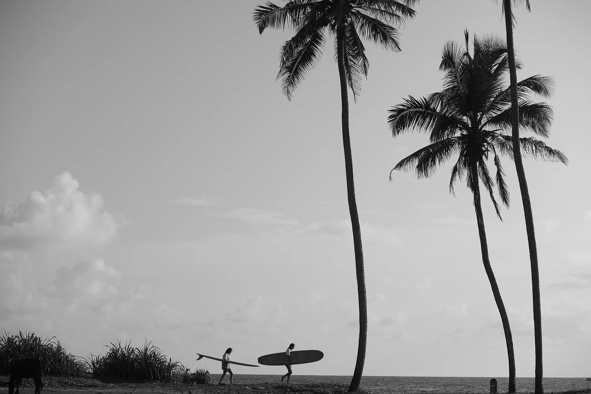 Embrace the Uncertainty