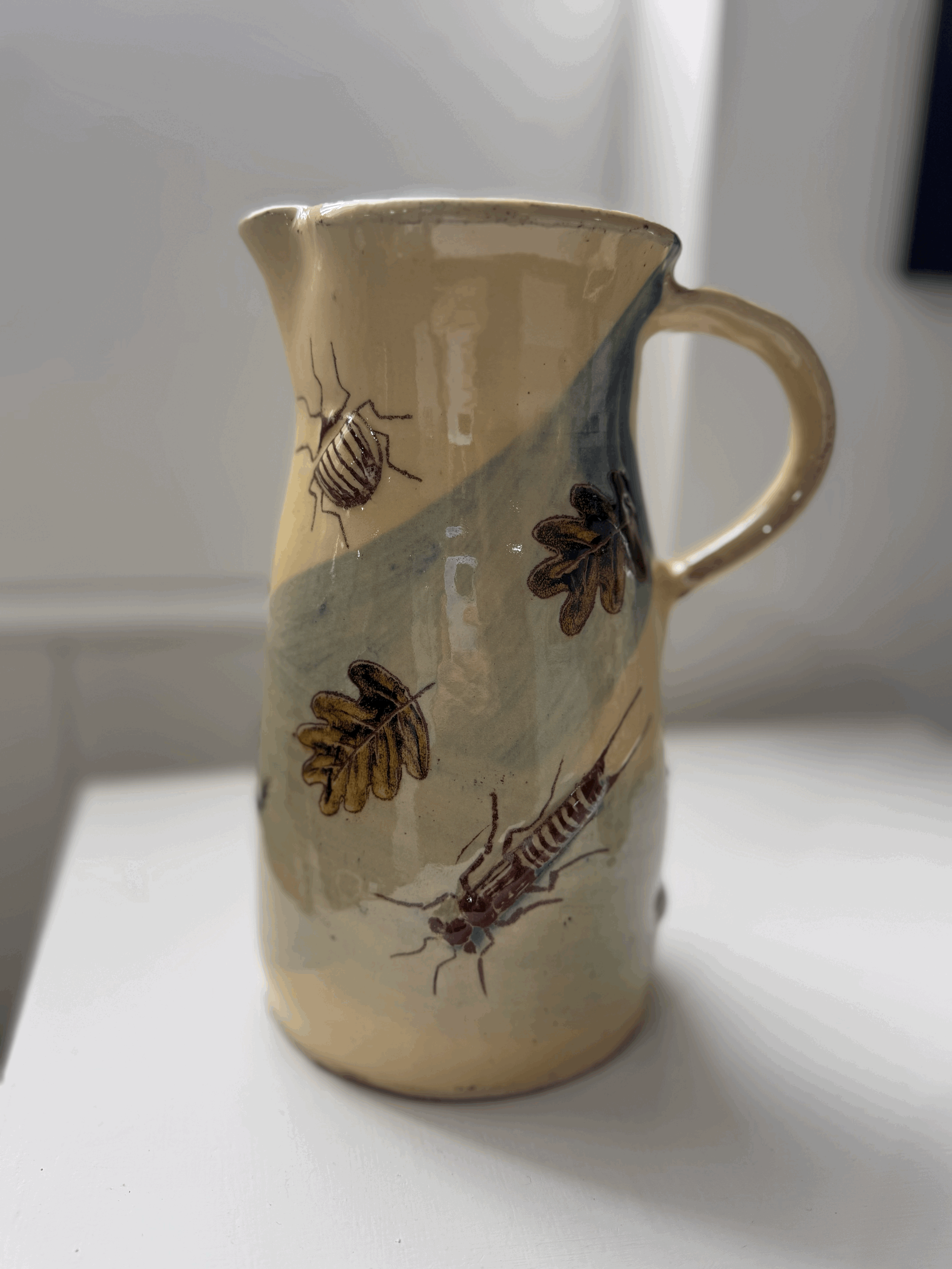 MJ1 Large Jug with Bugs by Mary Johnson