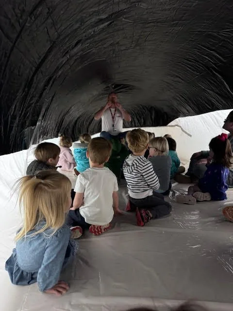Inside the whale!