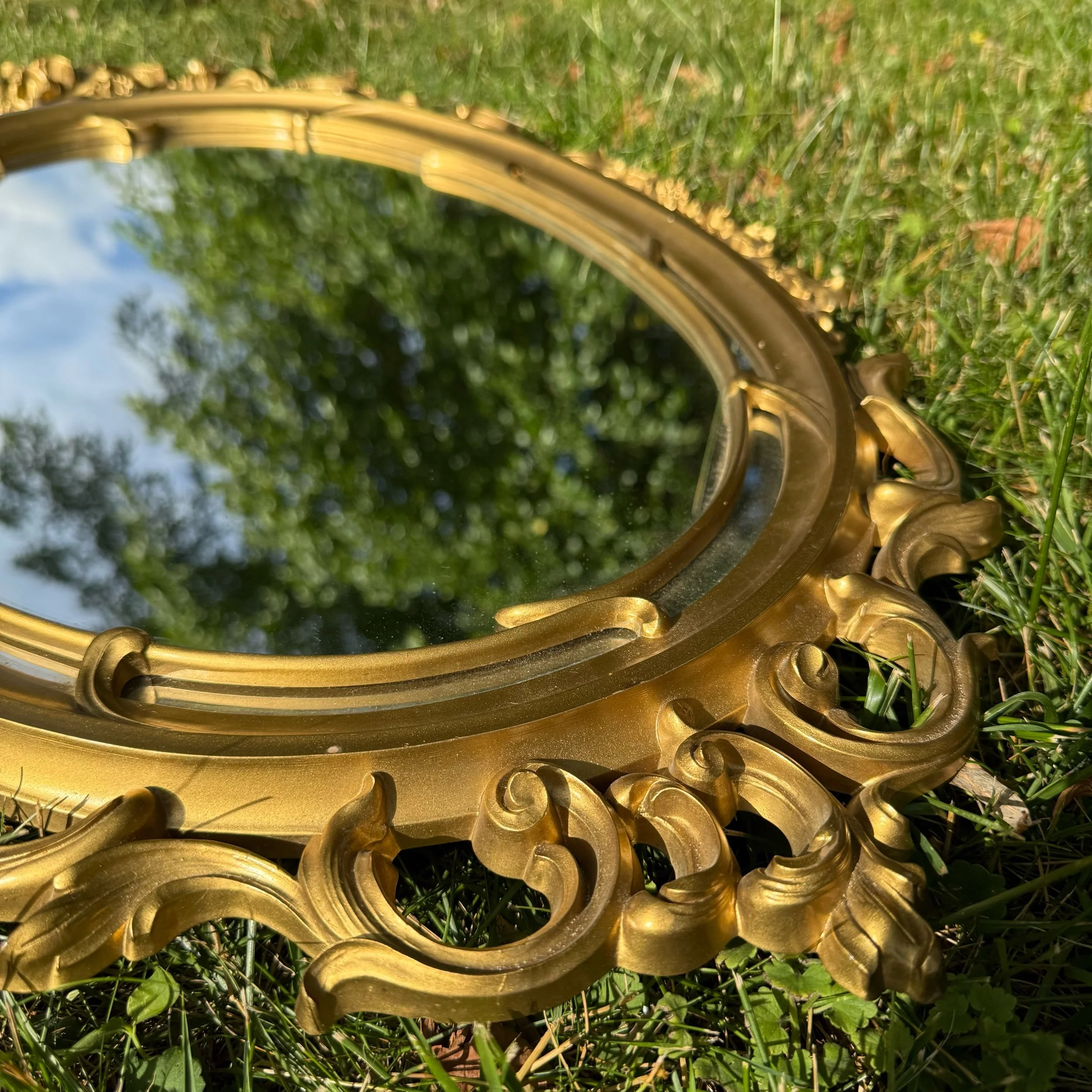 25C07042-969B-44F0-A73B-F5C00757BE7C.jpeg