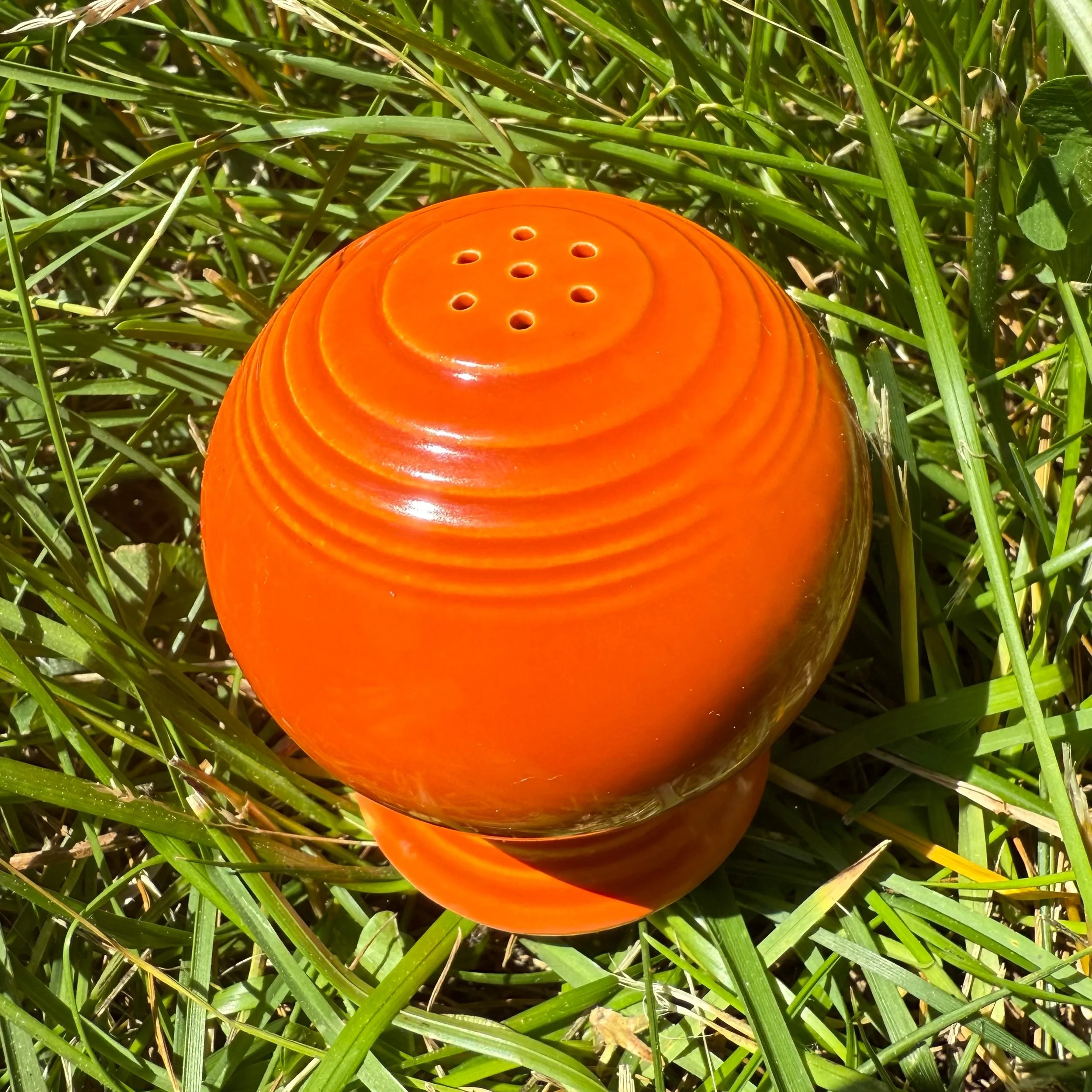 EF1FD108-0951-464C-A1CC-A959E362F2B4.jpeg