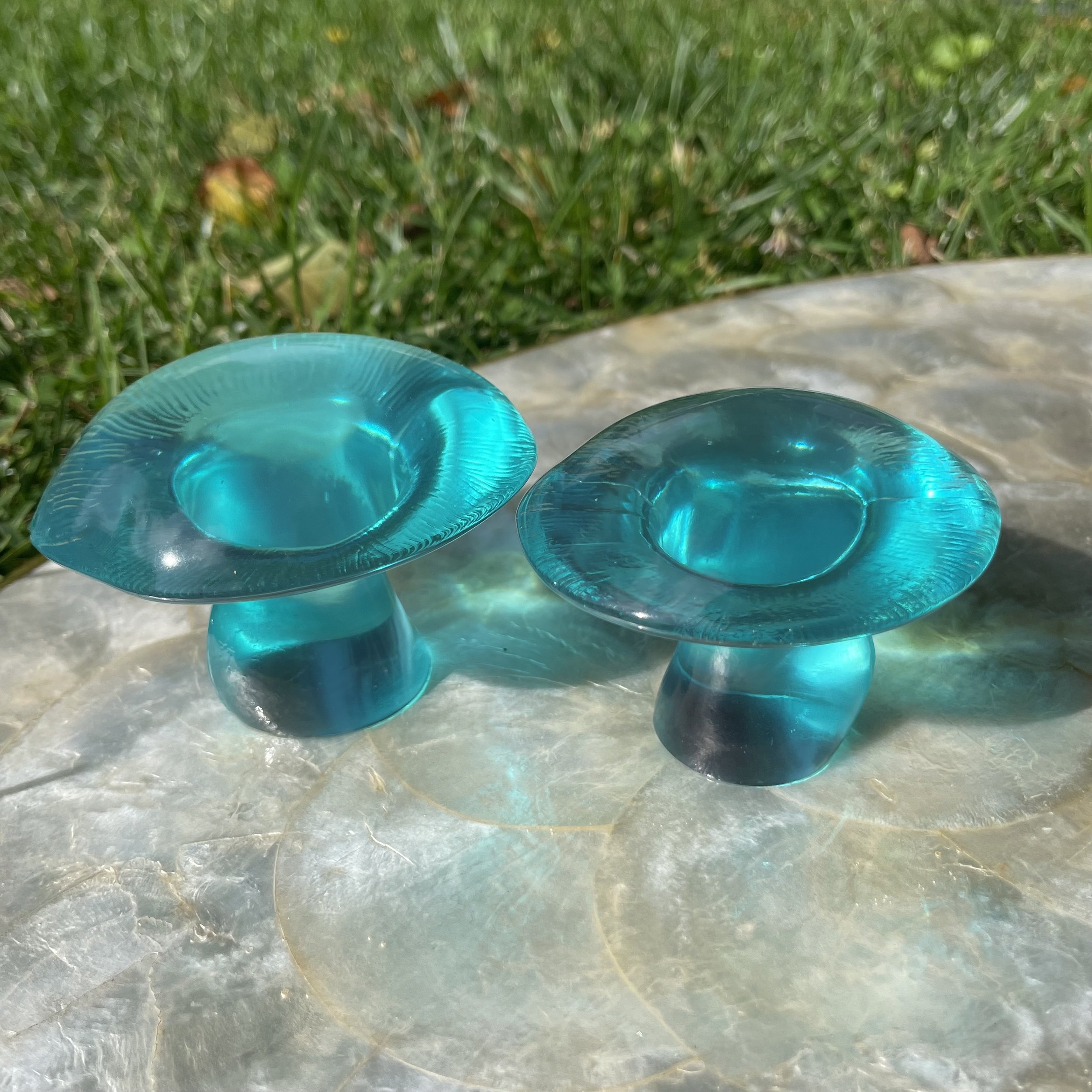 Aquamarine Mushrooms