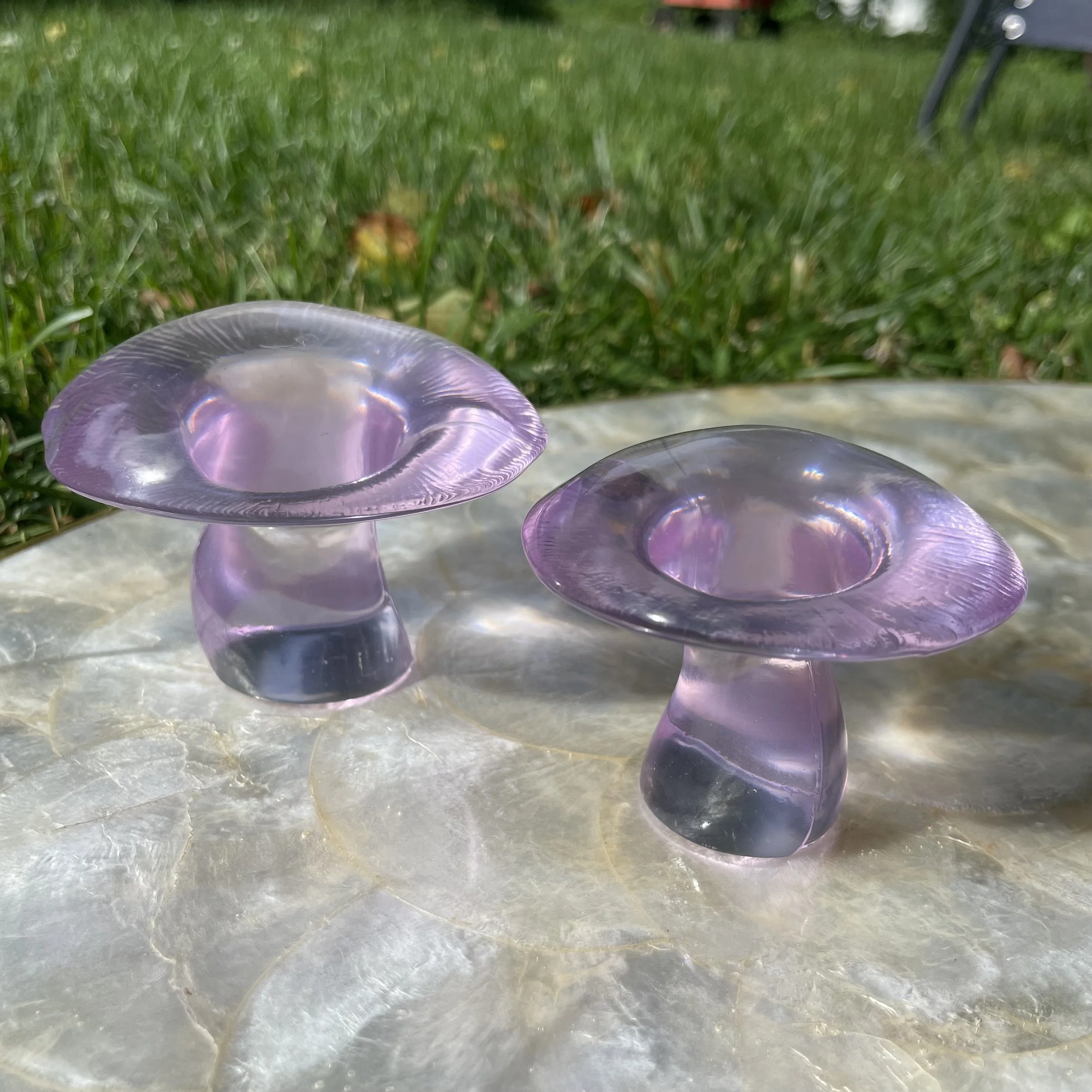 Fresh Lilac Mushrooms