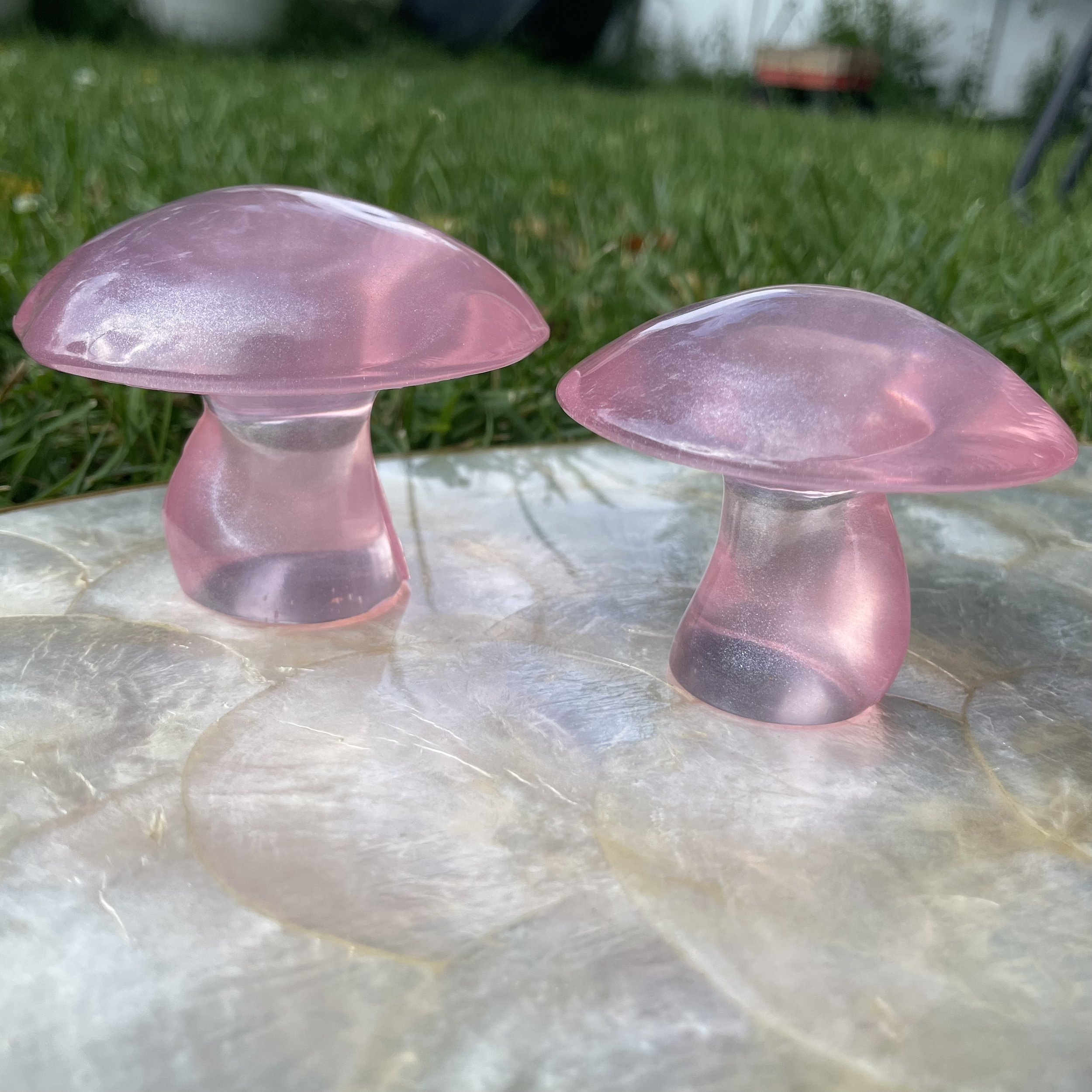 Misty Pink Mushrooms