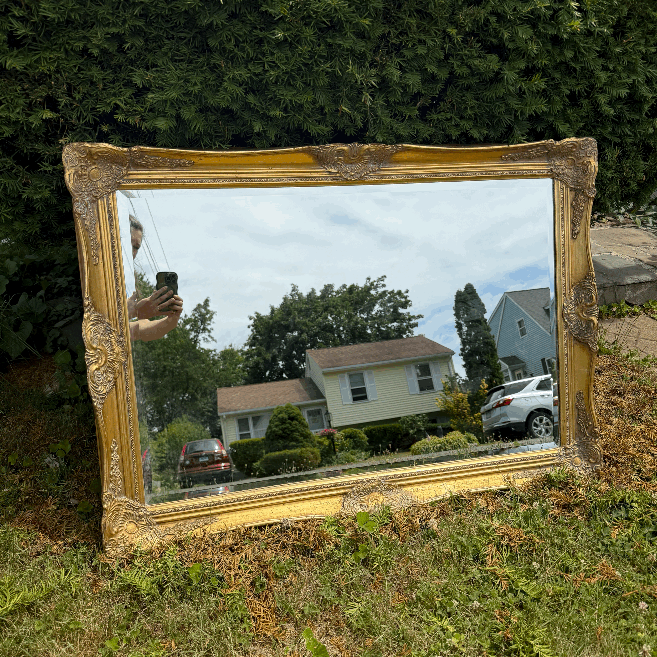 tempImage3nMxBY.gif
