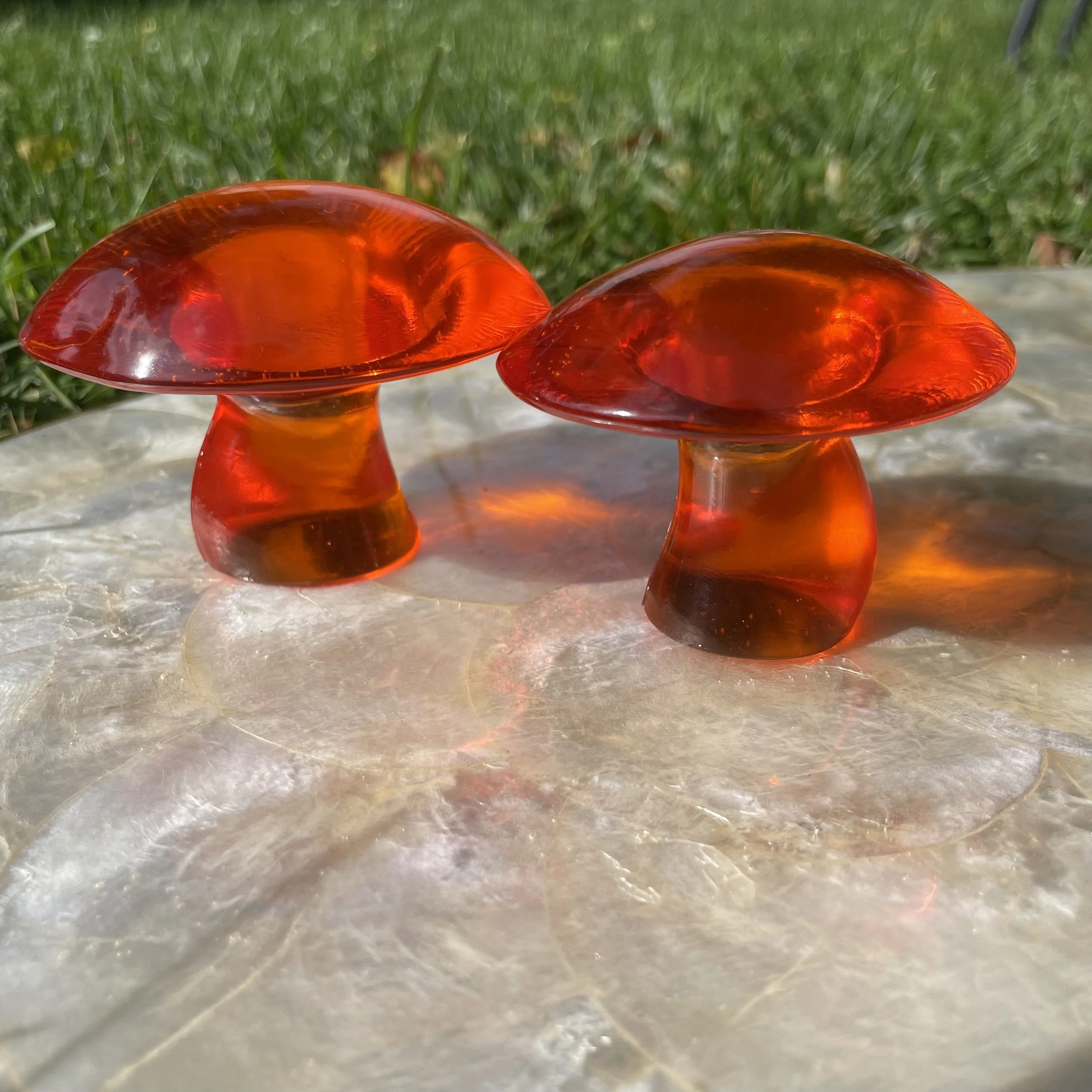 Topaz Orange Mushrooms
