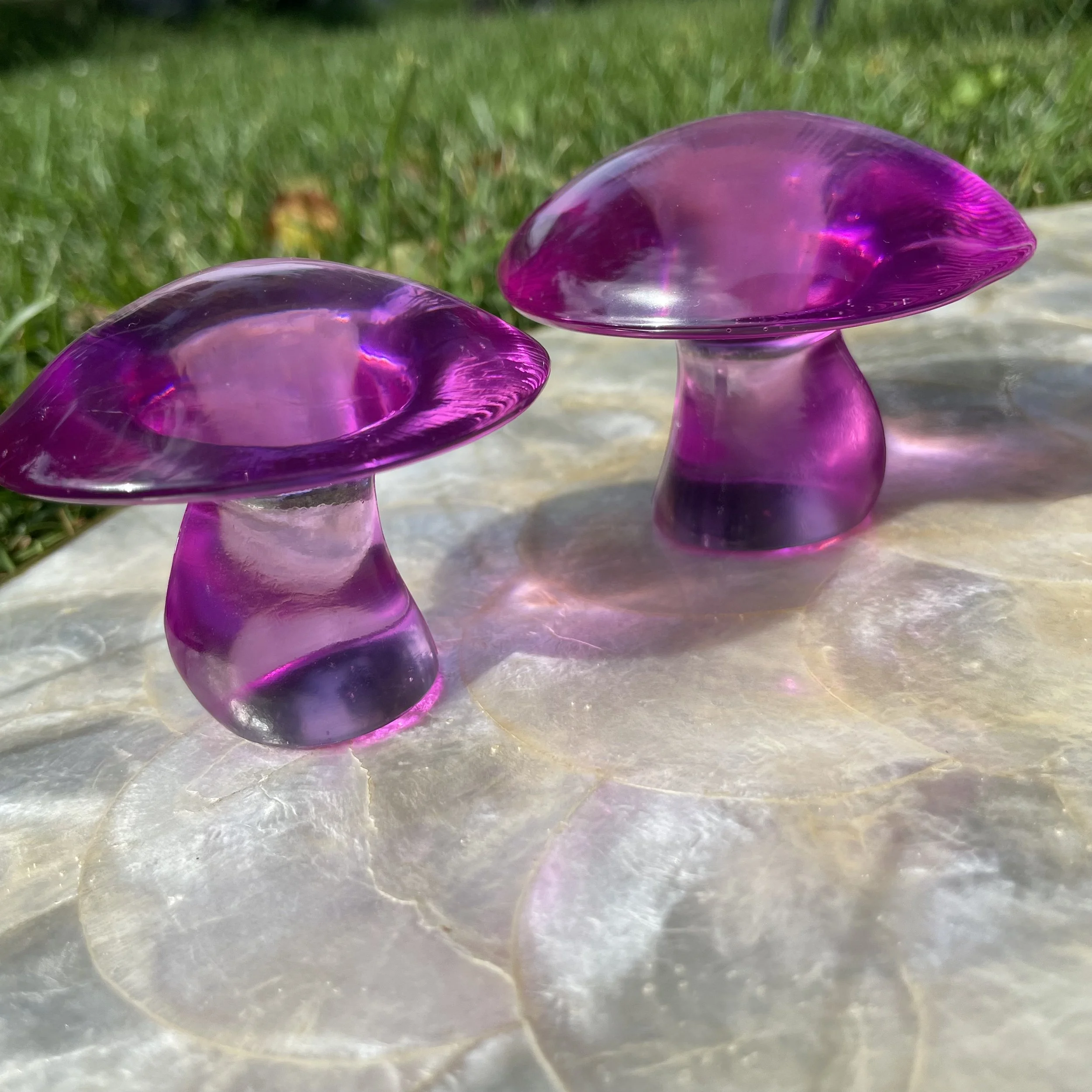 Deep Amethyst  Mushrooms