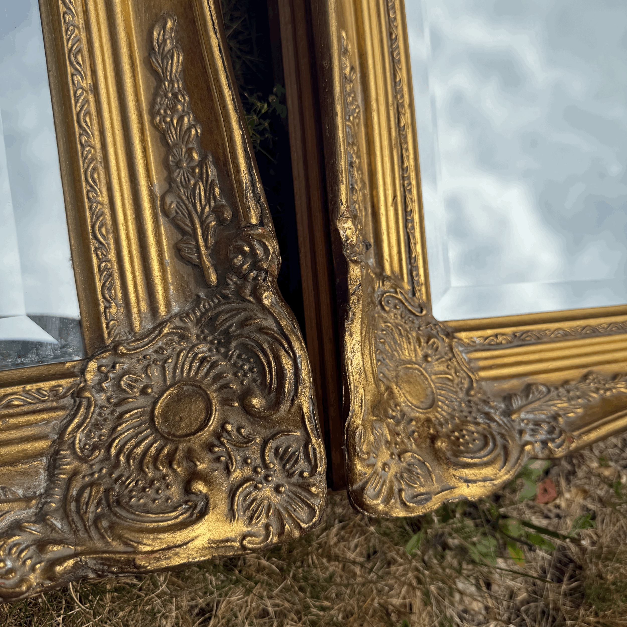 tempImagempHPDi.gif