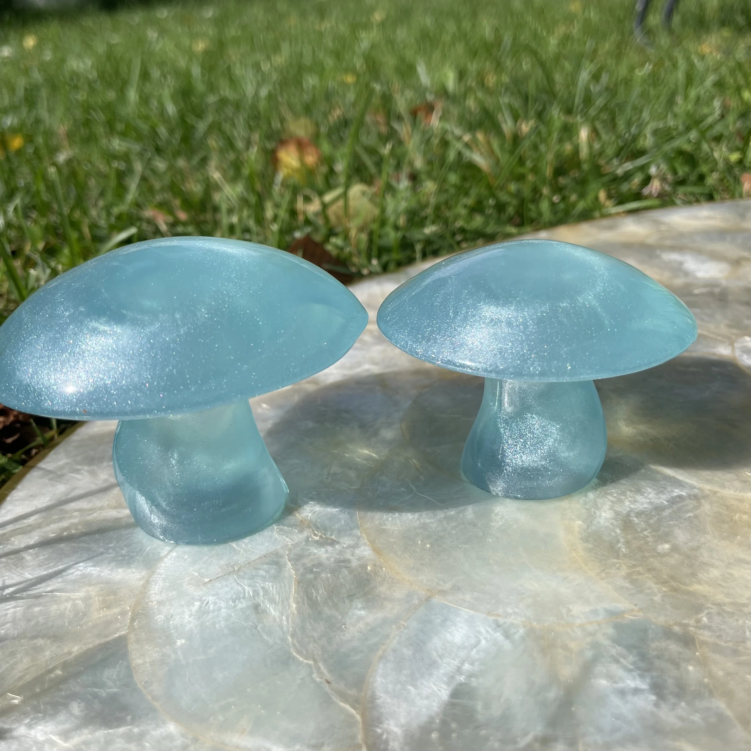 Misty Blue Mushrooms