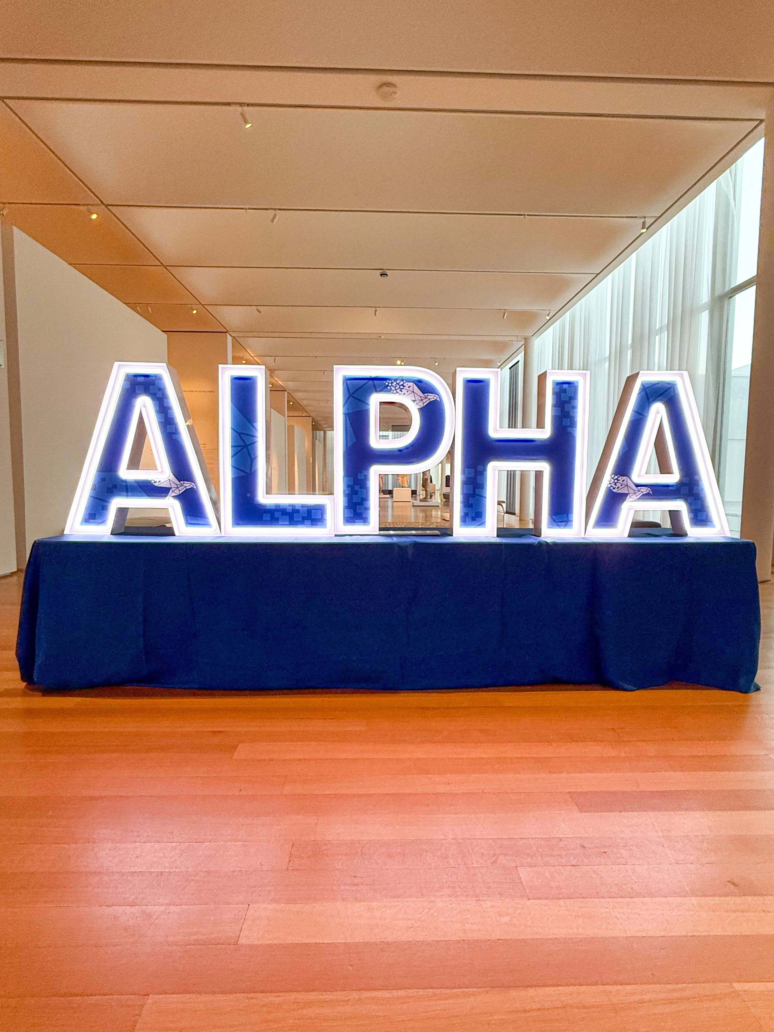 LED Marquee Letters With Custom Inserts
