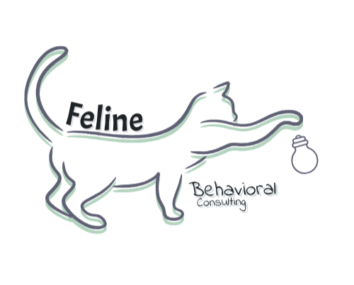 Feline behavior consulting