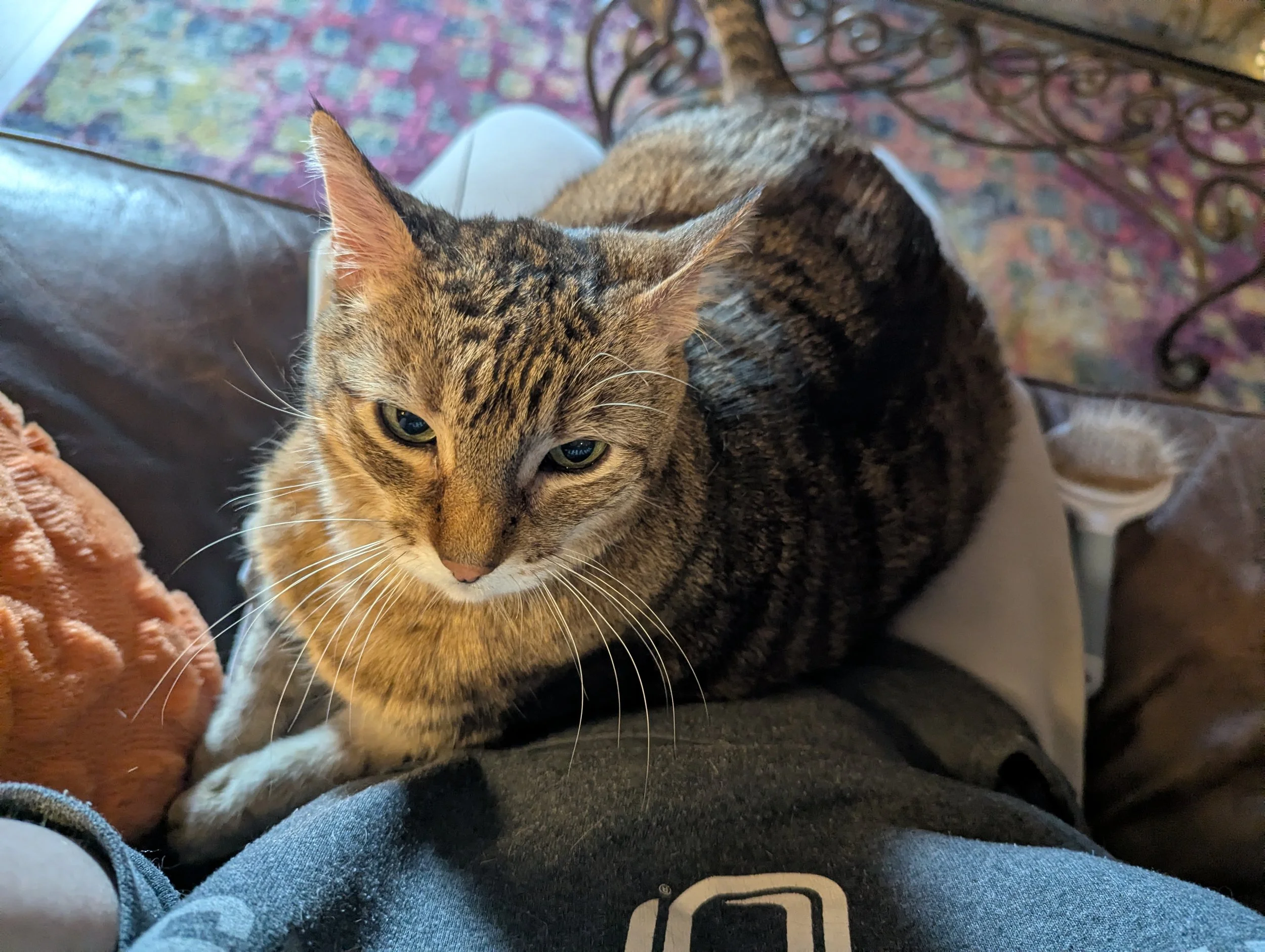 Gear Up For Safety This Summer