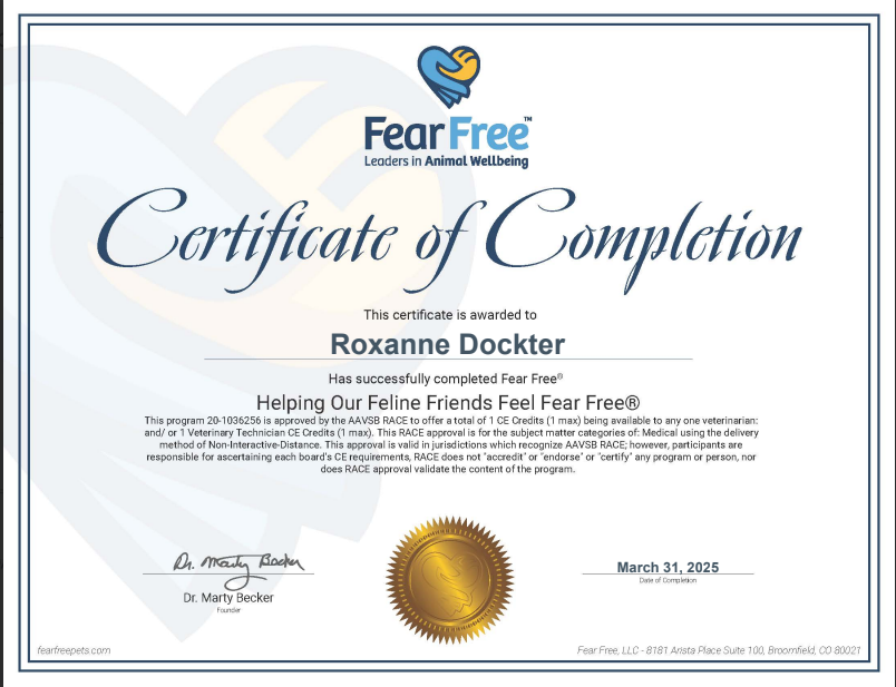 Helping our Feline Friends Feel Fear Free