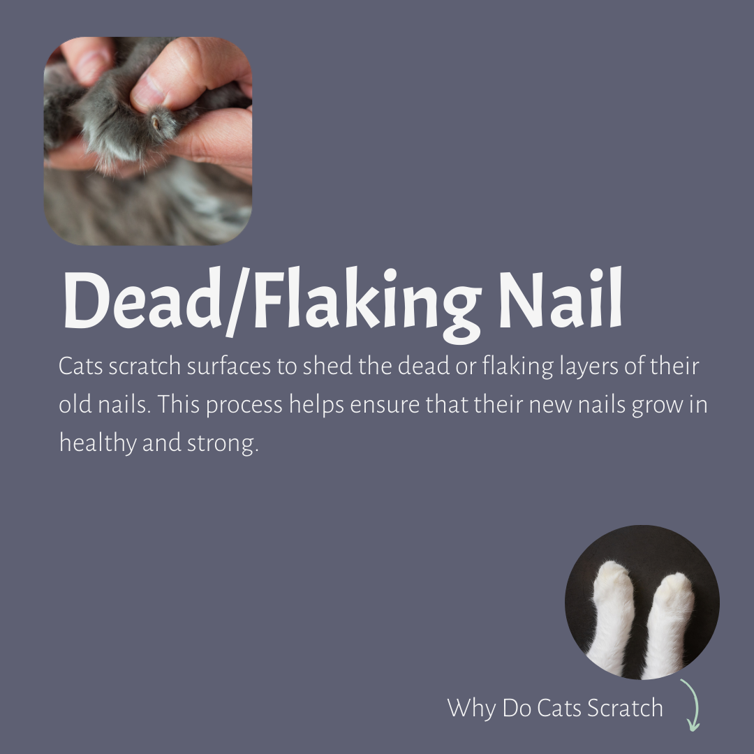 To remove dead and flaking nails