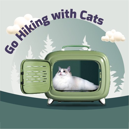 12% off on a Cat Carrier
