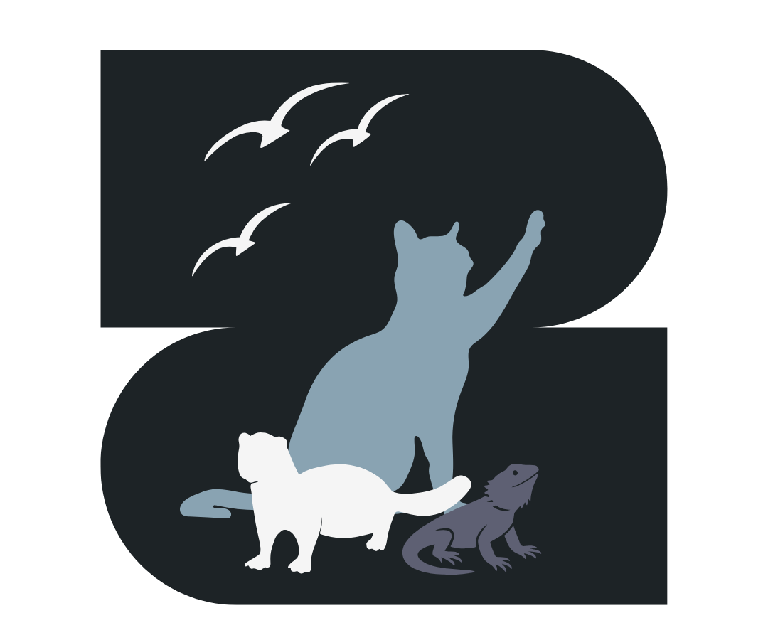 Professional Pet Sitting