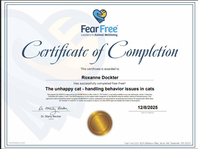 The Unhappy Cat—Handling Behavior Issues in Cats