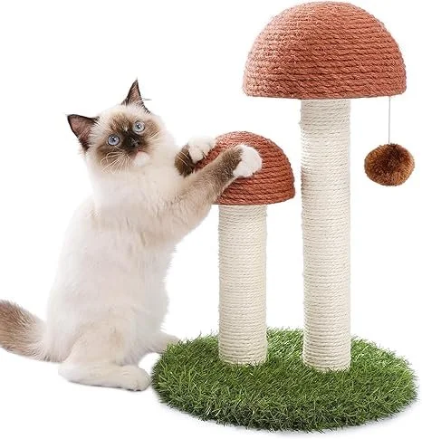 Cat scratcher mushroom