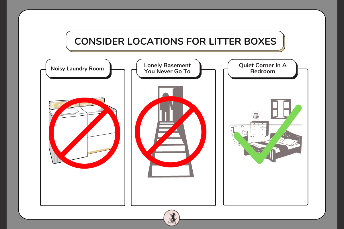 Litter Box Guide The Ultimate Guide to Litter Box Types and Odor Control for a Fresh ...