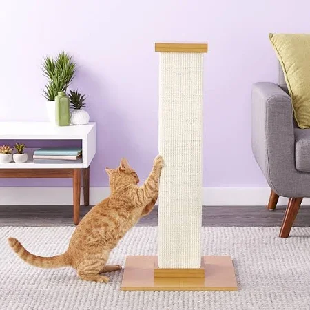 Floor cat scratcher