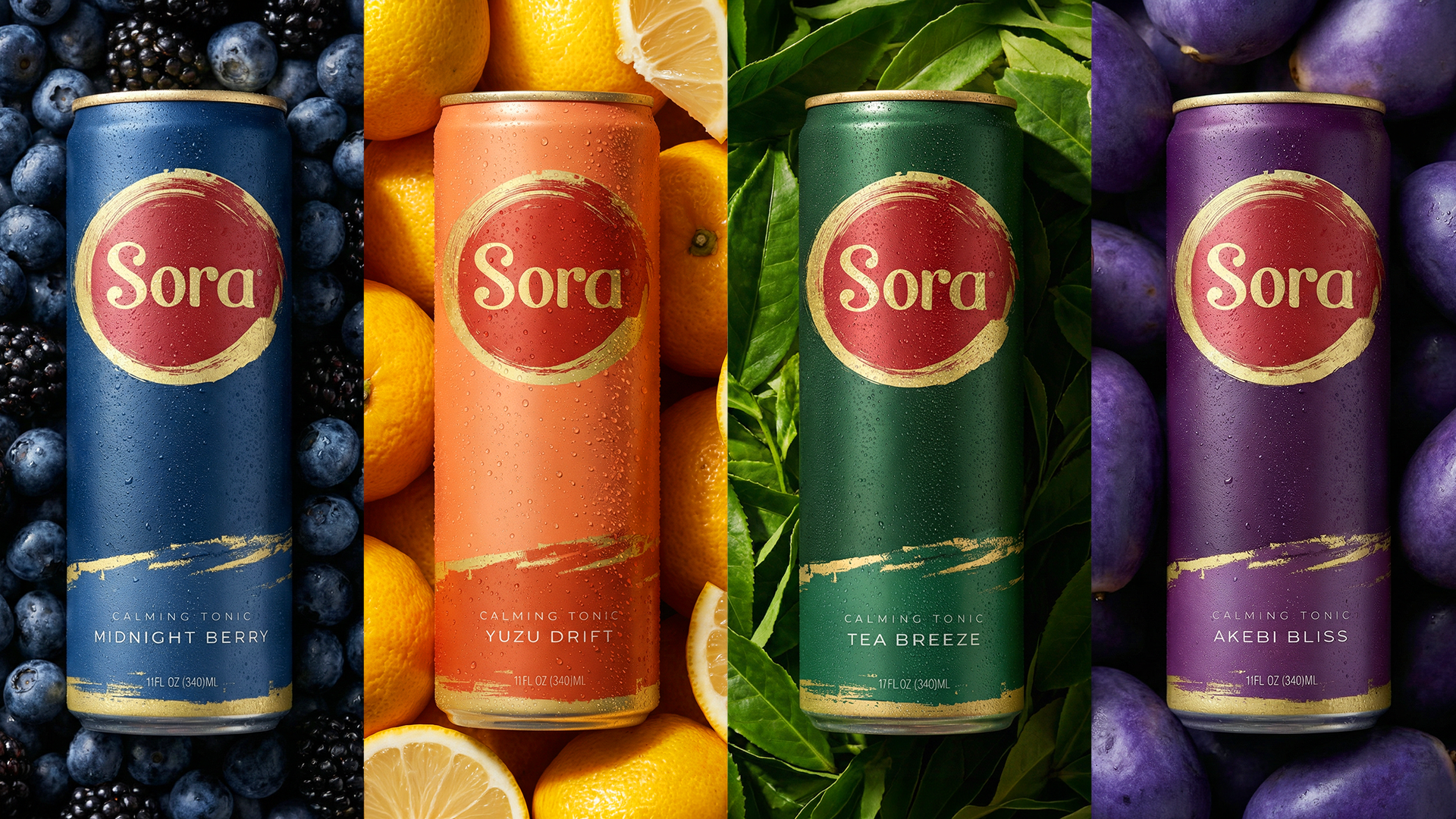 Sora_v7_New.png