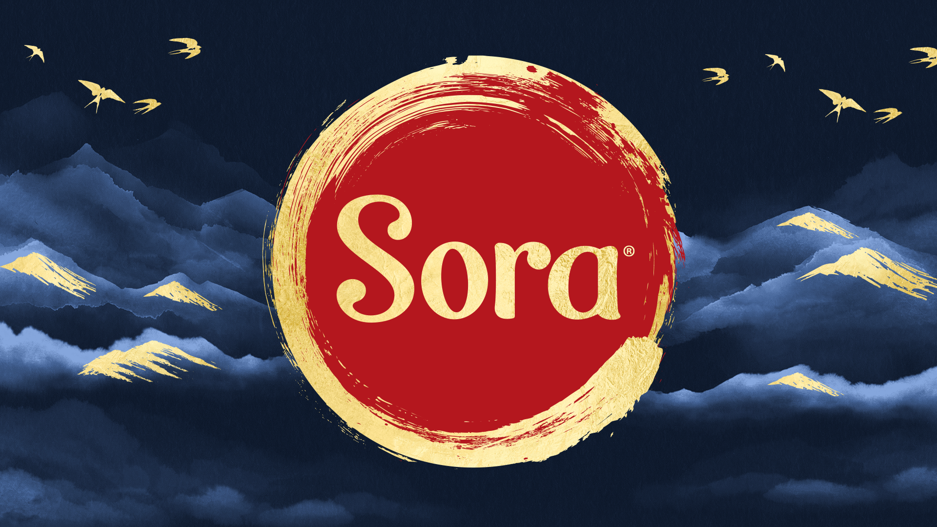 Sora_v1_New.png