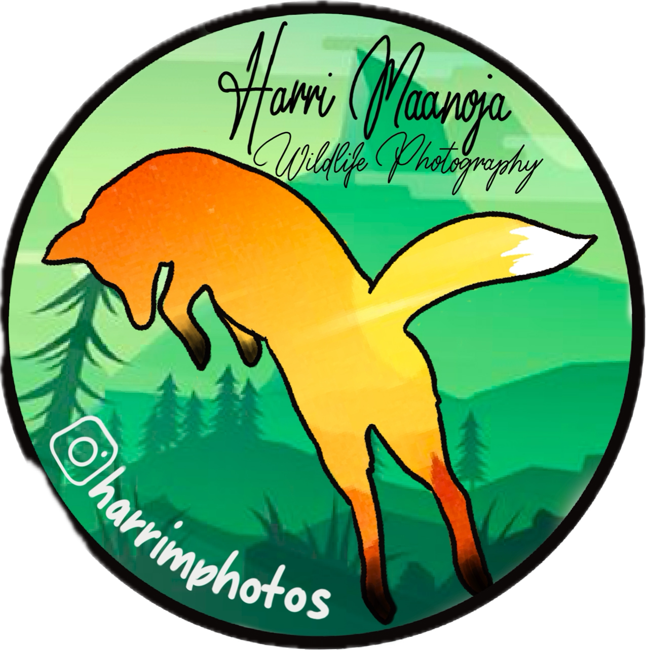 kettujen valokuvaus, mäyrien valokuvaus, lintujen valokuvaus, kojukuvaus, kameran käyttökoulutus.