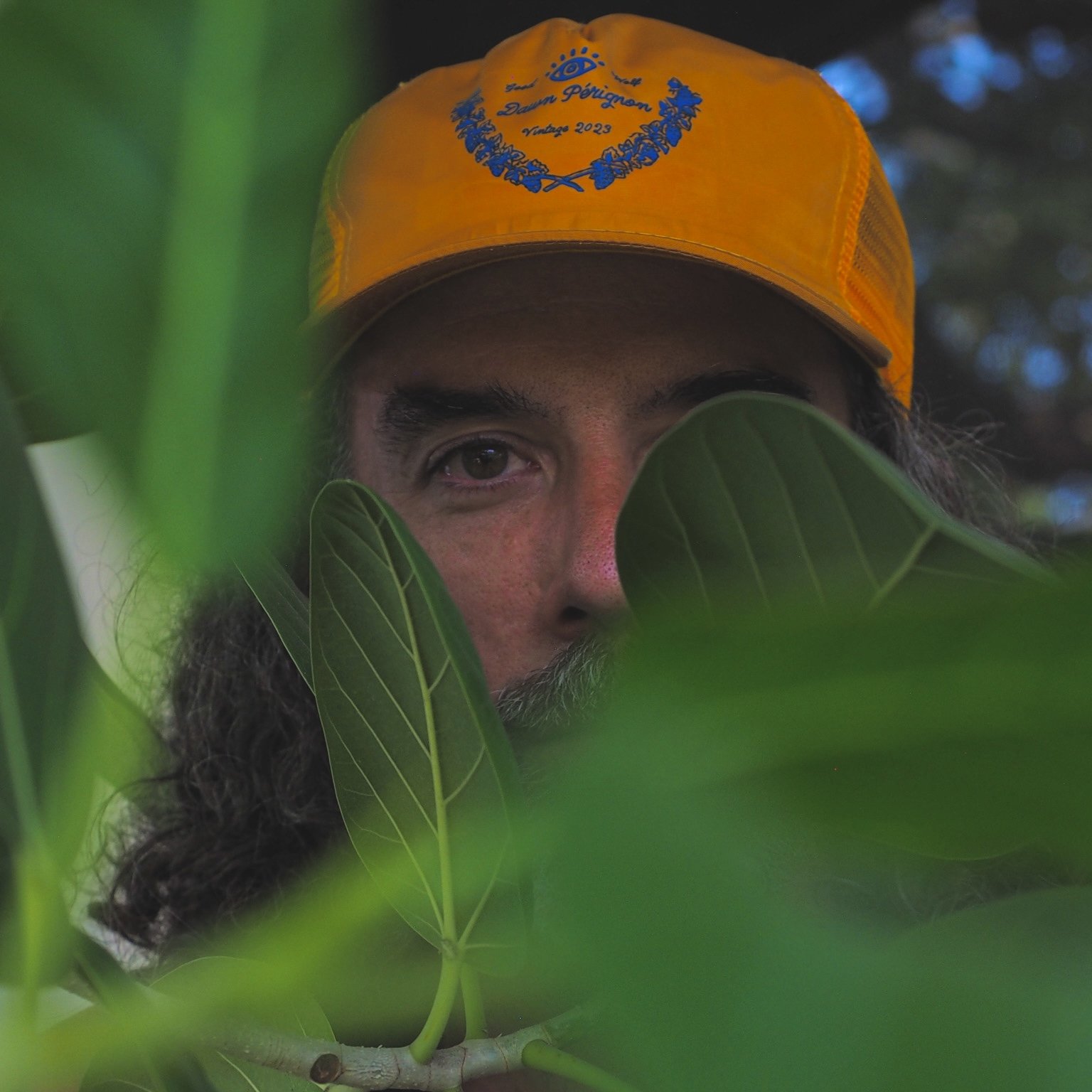 about-the-artist-graphic-designer-mason-merrill-greenery-good-wolf-hat.jpeg