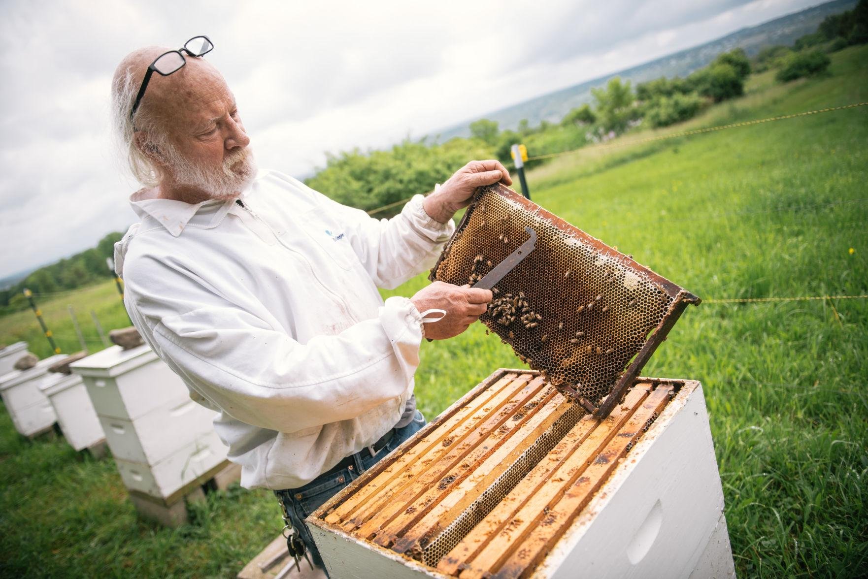 Ontario Finger Lakes Beekeepers Association