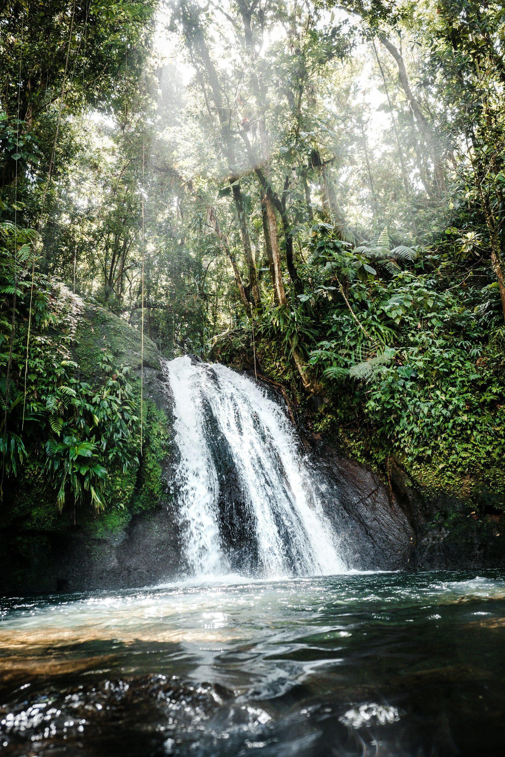 unsplash-image-fG5jun4bYBQ.jpg