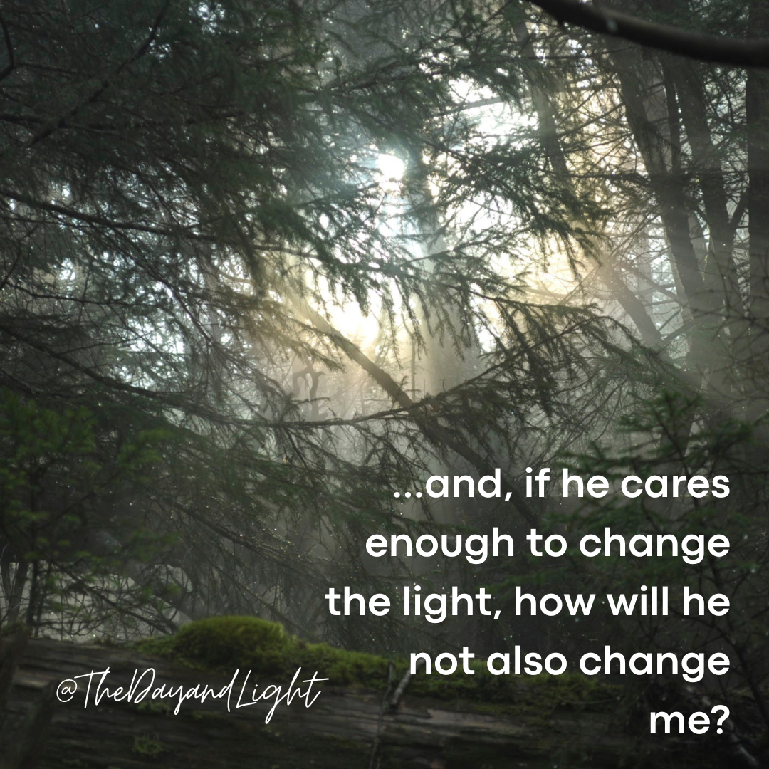 The Light Changed Today