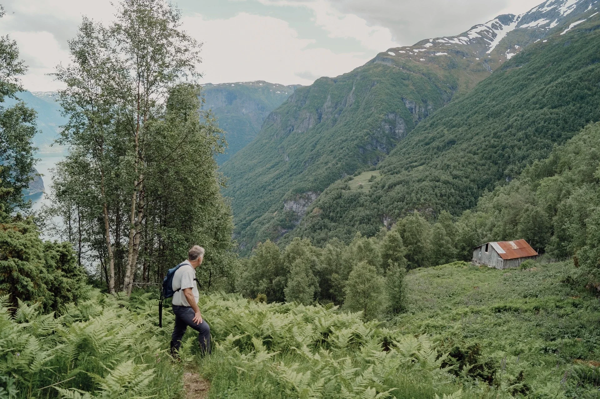 opp til Åsen og Beitelen (47).webp