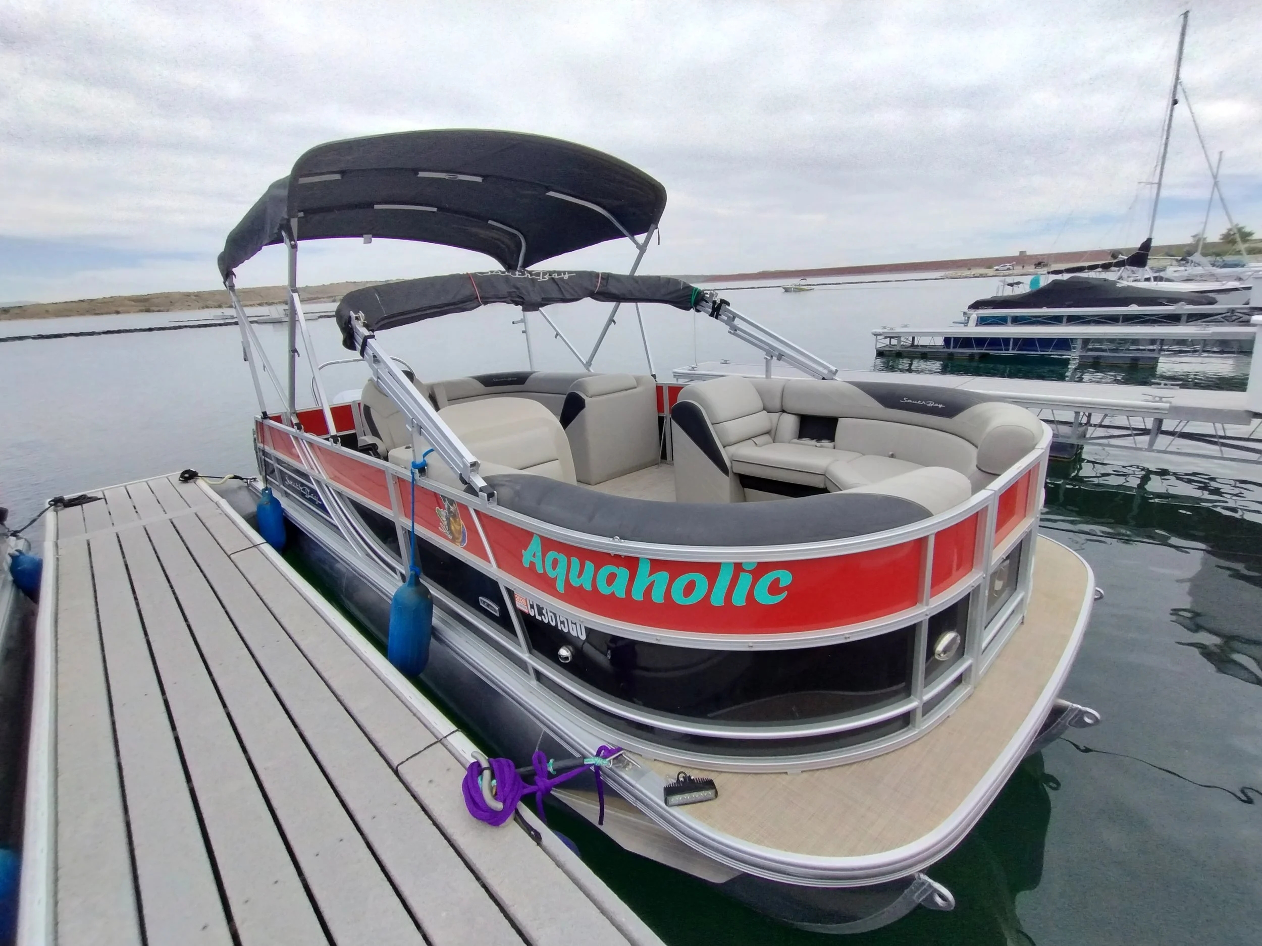 IMG_20260514_114933314_HDR.jpg