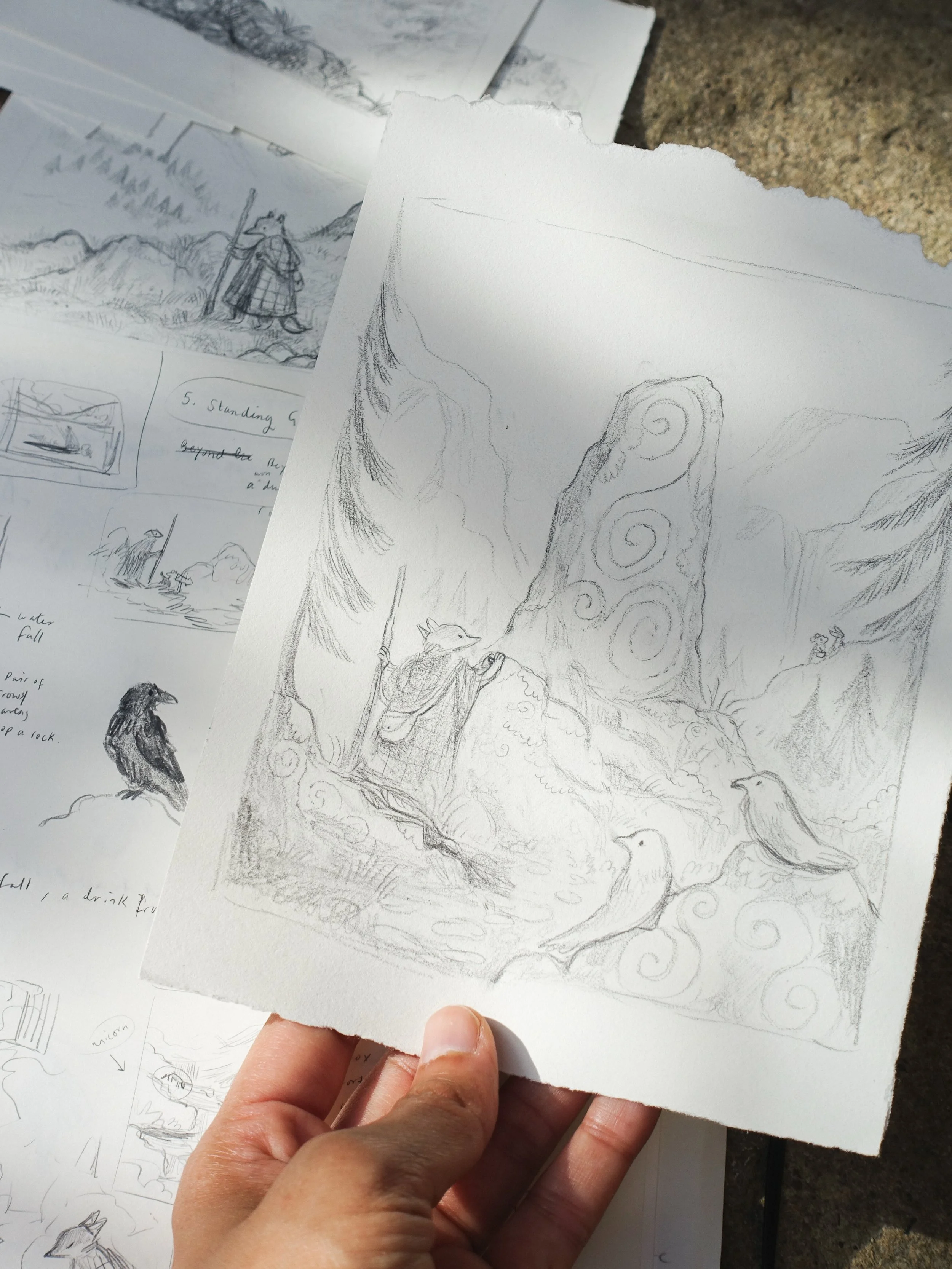 Sketches and original pencil drawings from Animal Adventures Week just gone. I also just shared a special Patreon post about world-building in illustration, featuring more behind-the-scenes of this series. For those of you who were curious, prints ar