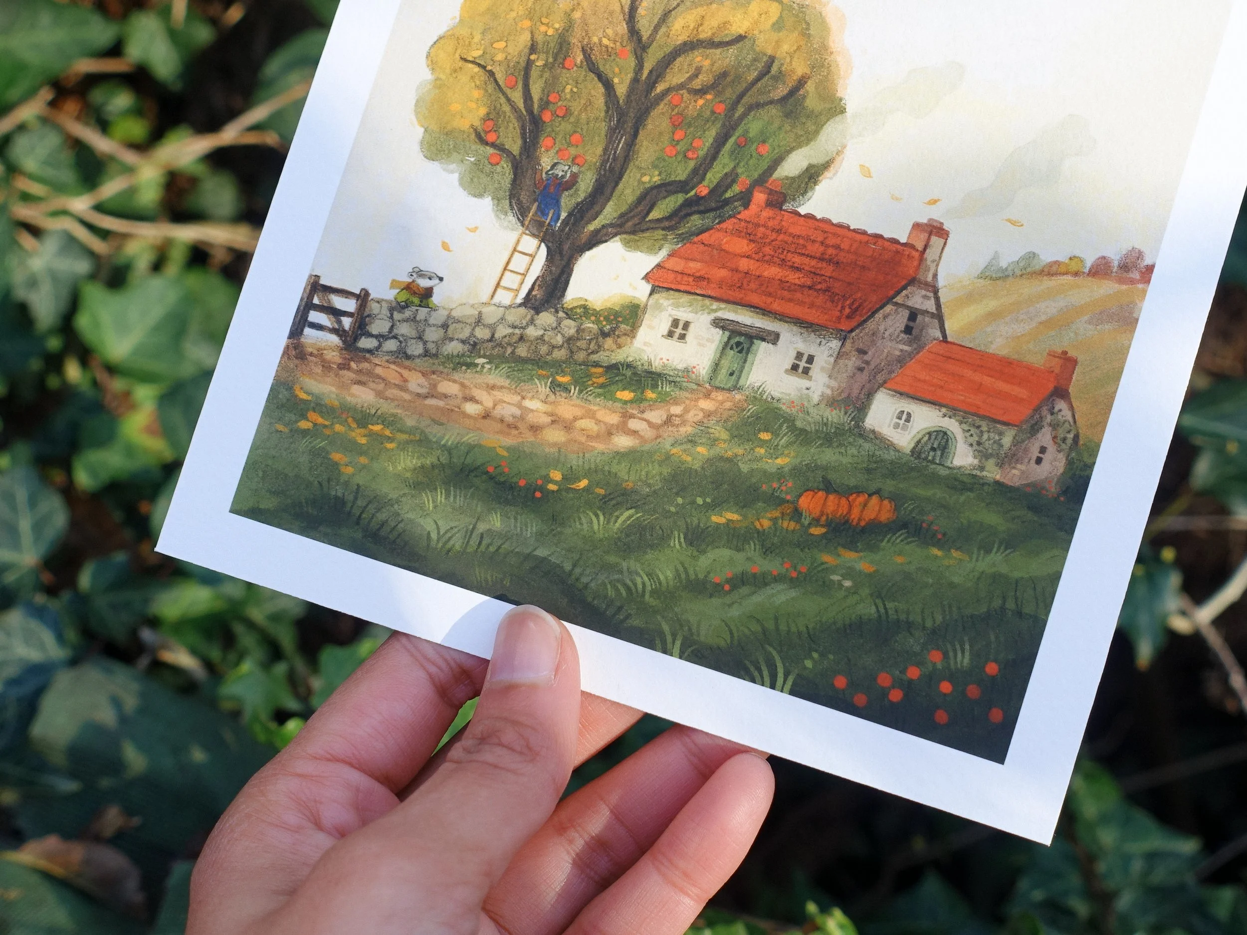 Apple Harvest 2.jpg