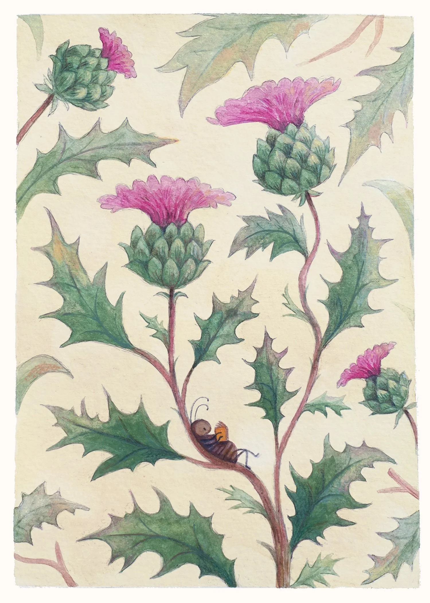 Raahat Kaduji Postcard 3.jpg