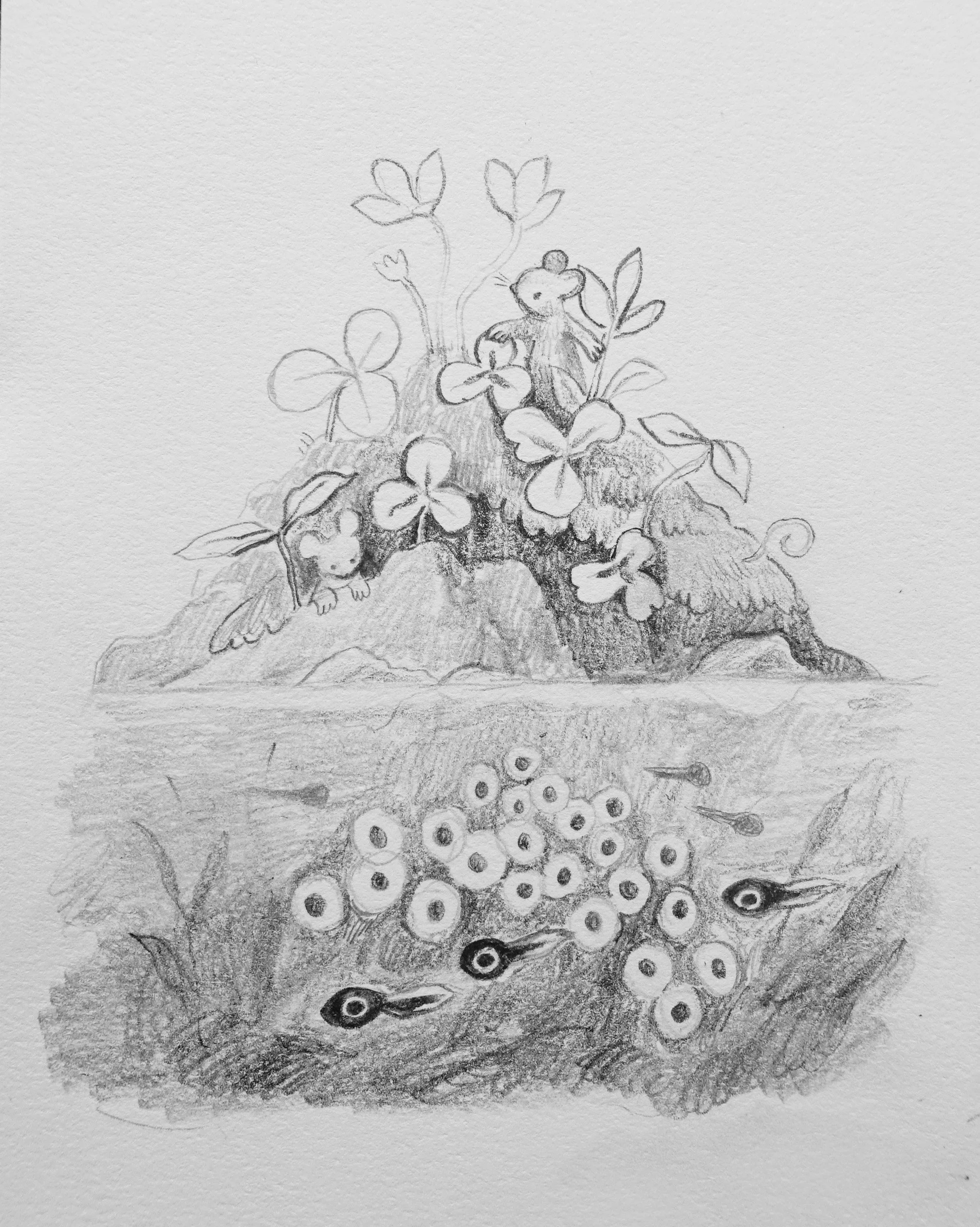 Hatching eggs.jpg
