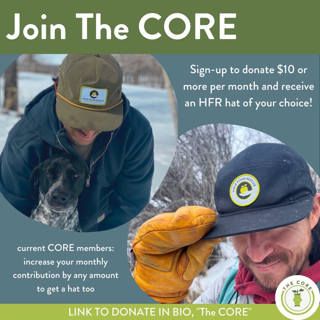 Help us celebrate our 10 year anniversary by joining The CORE! 🍏

Recurring gifts provide stability to Hole Food Rescue by offering consistent support for our operations and in turn, enables us to make long-term impacts. In our tenth year, we hope t