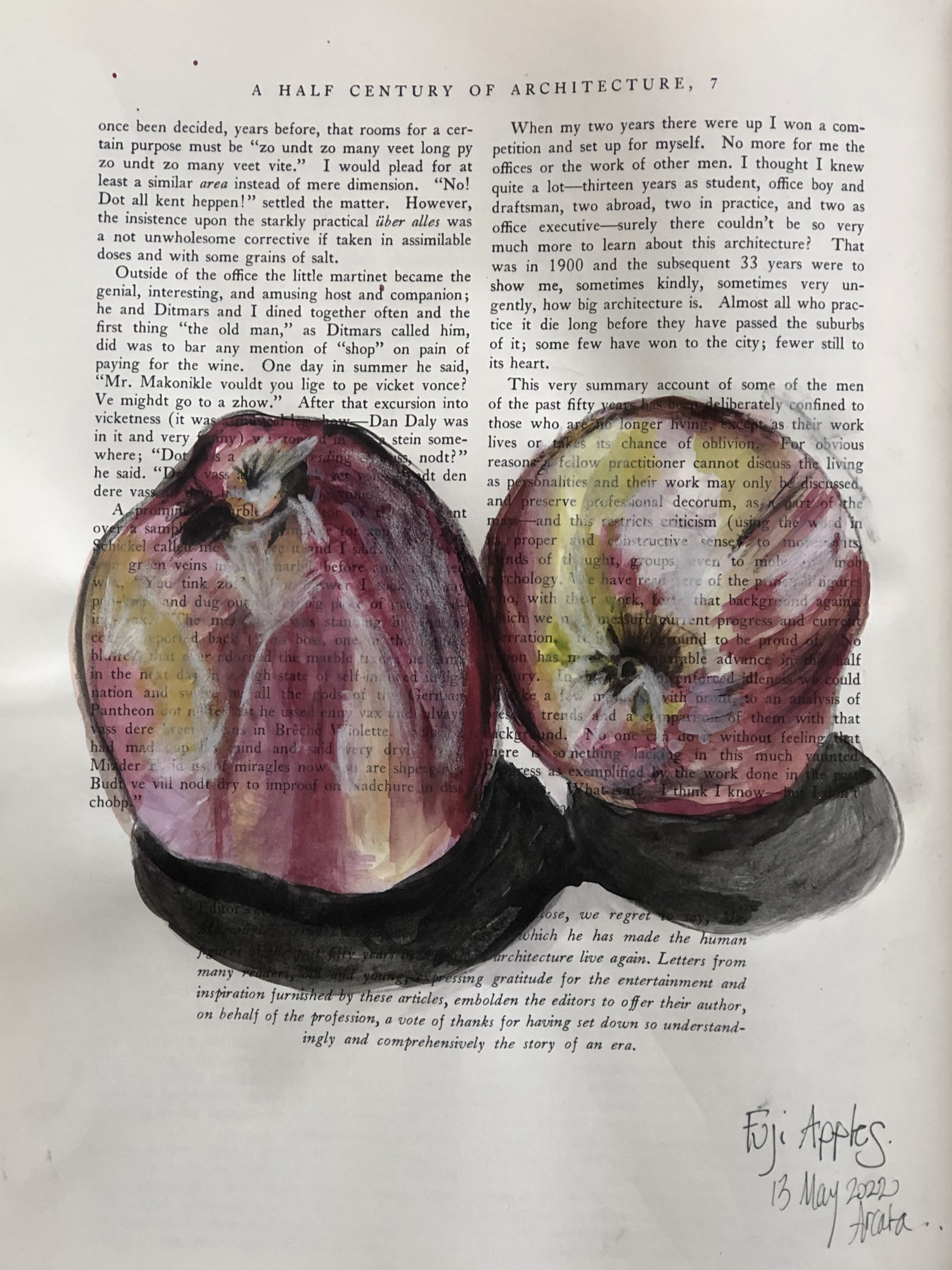 apples fuji18x24 crop.png
