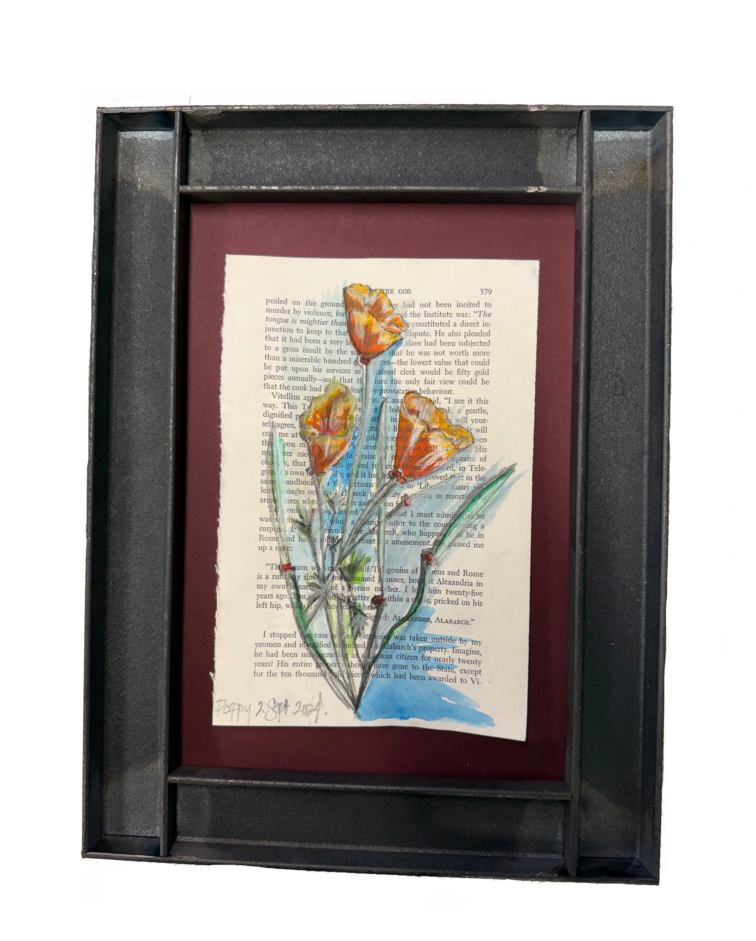 california poppy.jpg