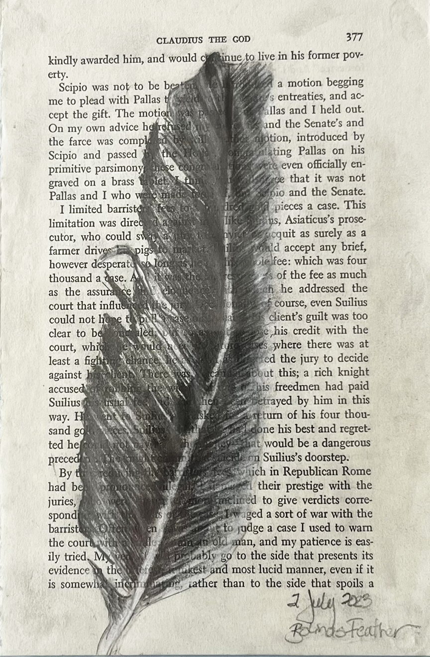 bolinas feather x.png