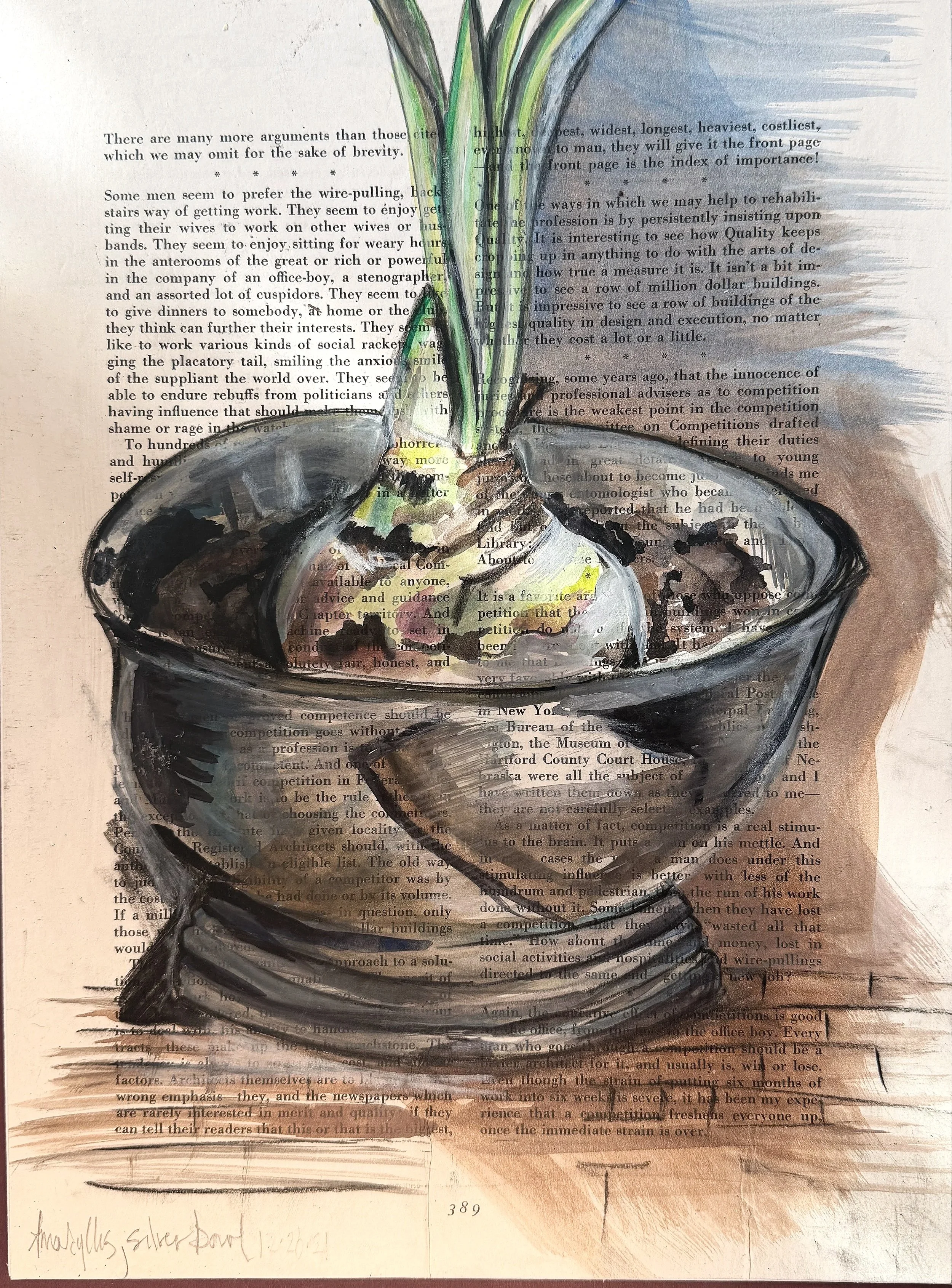 amaryllis+paper.jpg