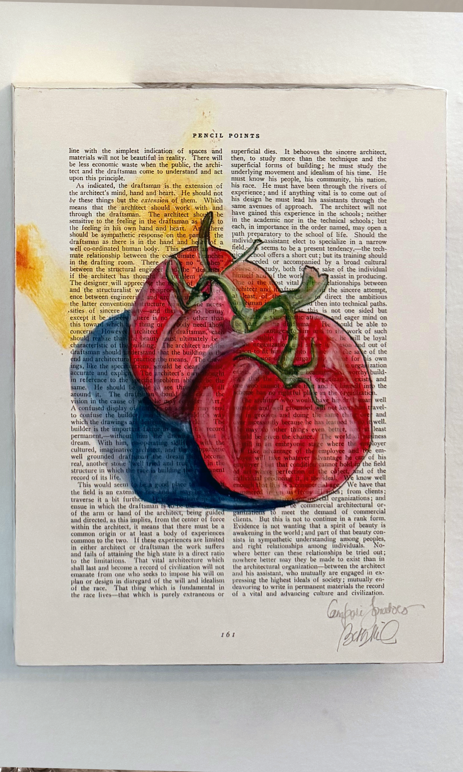 tomatoe straight on .png