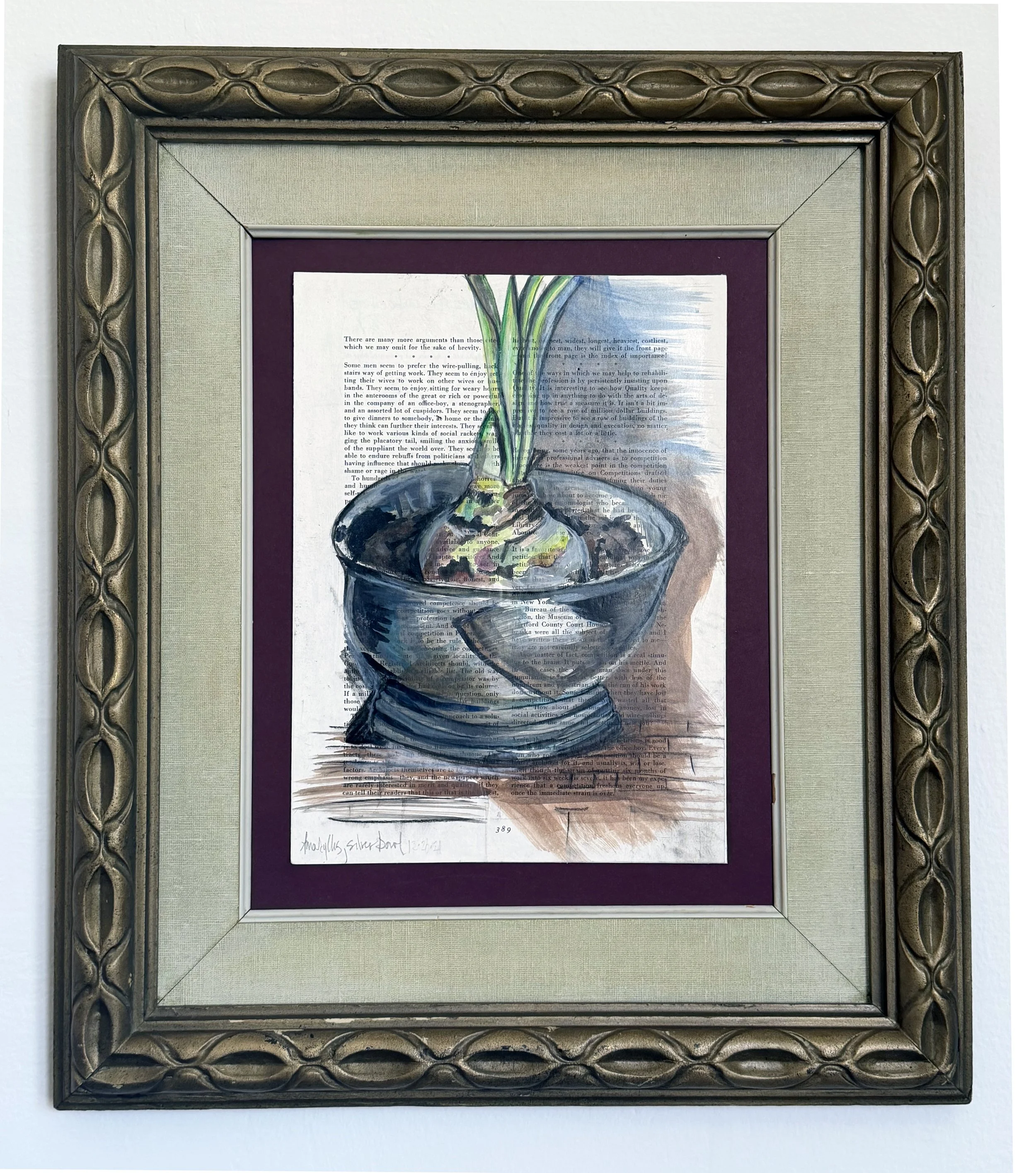 amaryllis in frame.jpg