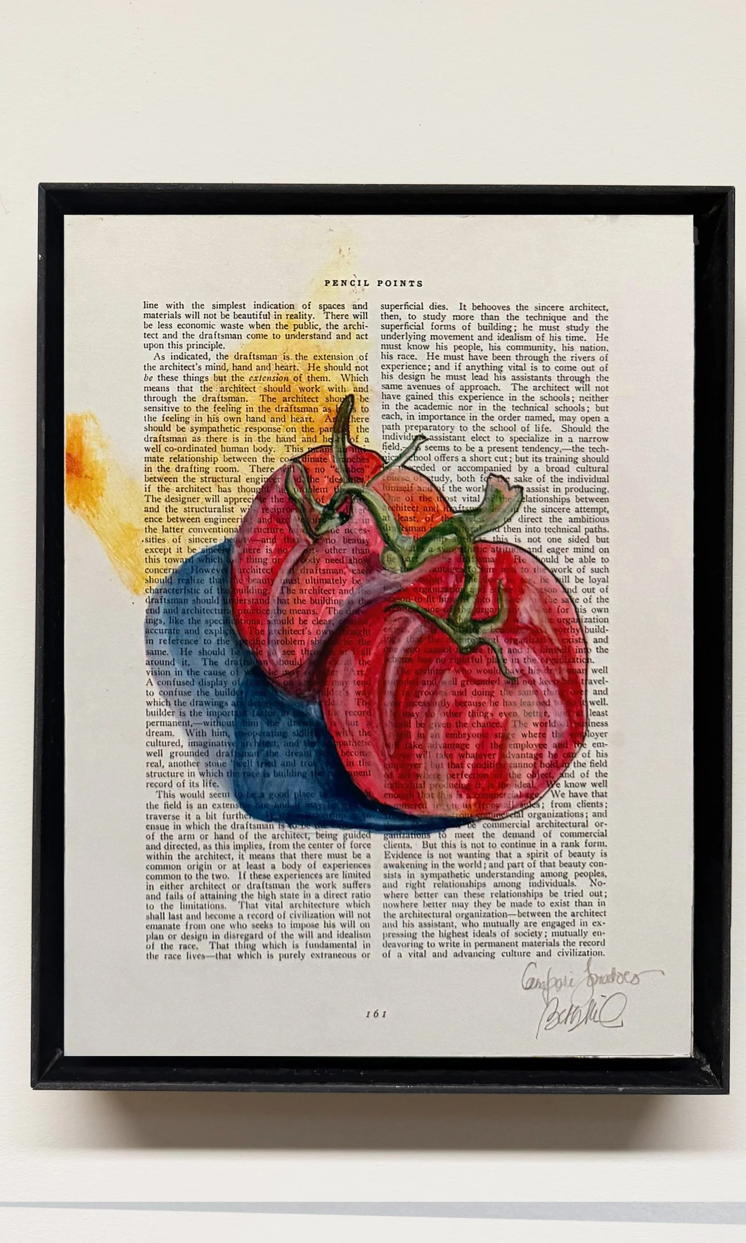 tomatoe straight float frame.jpg
