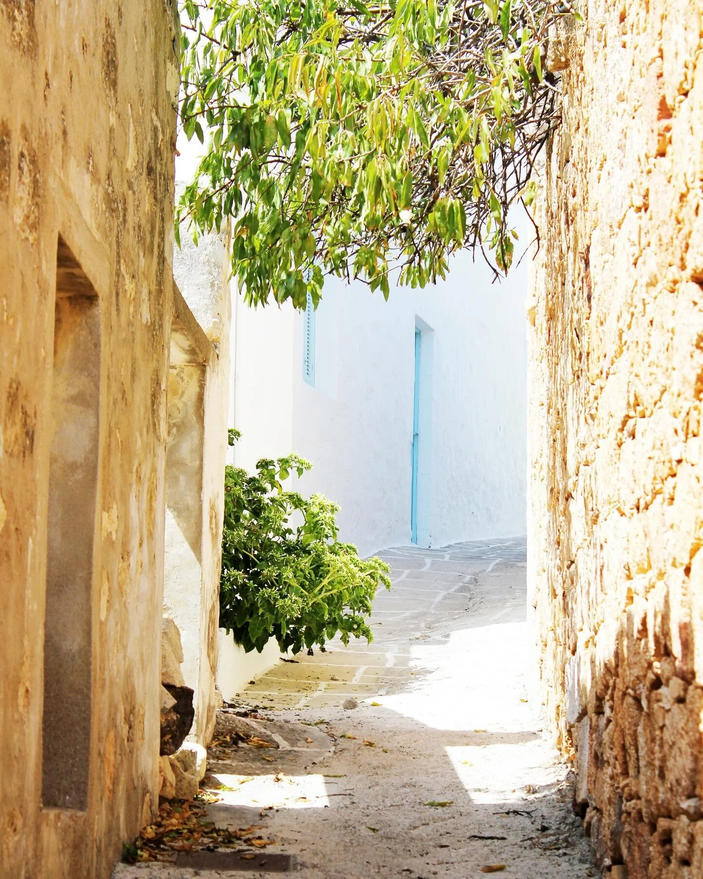 Le Sud, mais en mieux. Un peu de lumi&egrave;re. Un peu d&rsquo;ombre. Beaucoup de Bagnard.

#mediterraneanmood 
#summerfeels 
#travelinaplate 
#southvibes