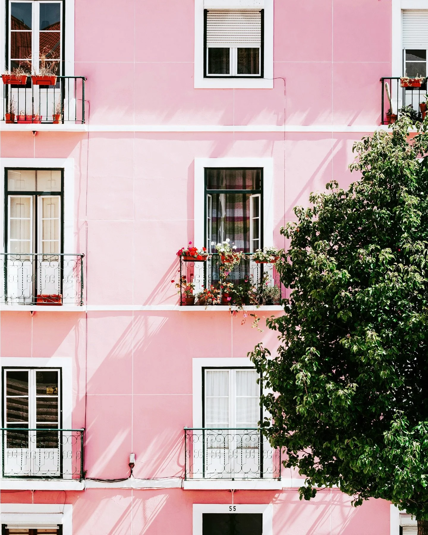 So pink so ZAZA

#MediterraneanMood #ZazaVibes #pink